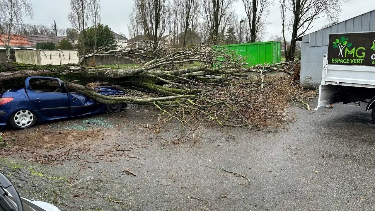 Abattage du peuplier tombé lors d’une tempête à La Chapelle-sur-Erdre